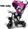 Tricikël për fëmijë Tiny Bike SP0650, 3 në 1, me tendë