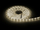 Shirit LED Blow 70-730, 5m 300 LED 2835, IP65, i bardhë