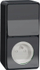 Prizë muresh Schneider Electric, 10A 250V, IP55, gri