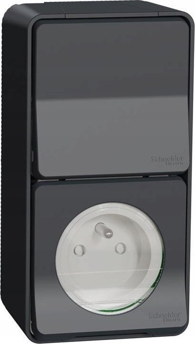 Prizë muresh Schneider Electric, 10A 250V, IP55, gri