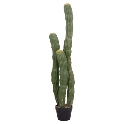 Bimë dekorative HomeMarkt Cactus, sintetike, 115cm, vazo e zezë