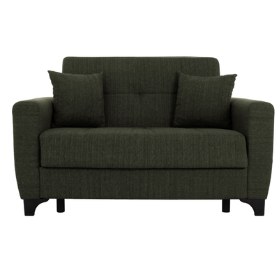Divan krevat HEMA HM3243.05, dyvendësh, 160x84x88 cm, ngjyrë ulliri e errët