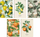 Fletore Top-2000 Notebook A5, 60 faqe të vijuara, set 10 copë, Summer