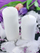 Set qirinj shtyllë Mat White, 12x6cm, 20 orë djegie, 6 copë, të bardhë