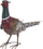 Figurë dekorative kopshti Progarden Pheasant, metal, 40cm, shumëngjyrëshe