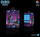 Mbajtëse për kufje CONNECT IT NEO Stand-It, RGB, e zezë