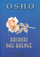 Dashuri Dhe Brenge - Osho