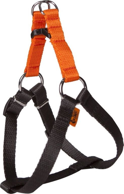Shtrëngues qeni Dingo Energy 94615, rreth qafës 48-64 cm, portokalli me të zezë