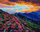 Set pikturimi me numra Wonderland KHO2889, 40x50 cm, 23 ngjyra, shumëngjyrësh