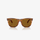 Ray-Ban RBR0502S 679183 53