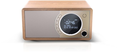 Radio Sharp DR-450BR, e kaftë