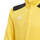 Тренинг блуза adidas Regista 18 JR, материјал climalite, со краток патент, жолта