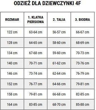 Детска скијачка јакна 4F HJZ22-JKUDN002, NeoDry 8000, повеќебојна розова сина