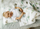 Set shtrati për bebe me muslin pambuku, 80x100cm, me dinozaur shumëngjyrësh