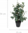 Bimë artificiale Present Time Kunstplant Eucalyptus Leaf, 54cm, plastike, e gjelbër