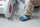 Këpucë fëmijësh Baobaby Buggy Navy, lëkurë e butë, motiv makine, blu e errët