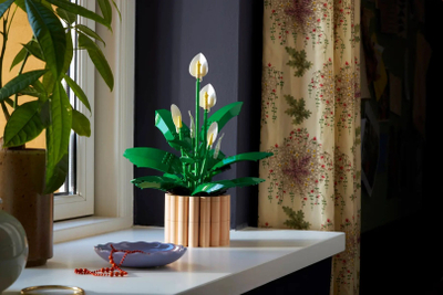 Set LEGO Botanicals 11504 Peace Lily, lule dekorative, për të rritur, shumëngjyrësh