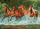 Puzzle Castorland, 300 elemente