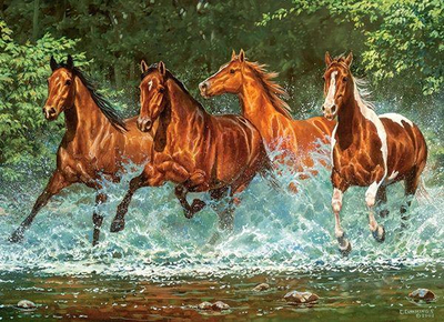 Puzzle Castorland, 300 elemente
