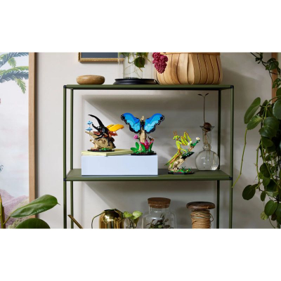 Set LEGO Ideas 21342 The Insect Collection, 1111 copa, shumëngjyrësh