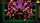 Videolojë Enter-Exit the Gungeon (SWITCH)