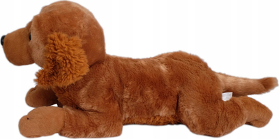 Lodër pelushi MADE Golden Dog, 60 cm, i shtrirë, bezhë