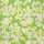 Serveta letre Napkin P SDL061306, 33x33cm, 3 shtresa, jeshile me lule
