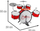 Bateri lodër Jazz Drum, me tastierë edhe mikrofon, 66 cm, e kuqe