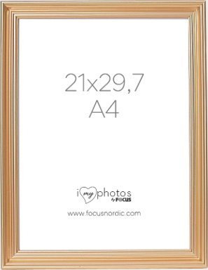 Kornizë fotografish Frame Focus Verona, A4 21x29.7 cm, plastikë, ngjyrë ari