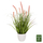 Bimë dekorative sintetike Bristlegrass Φ14,5 (HM4029)