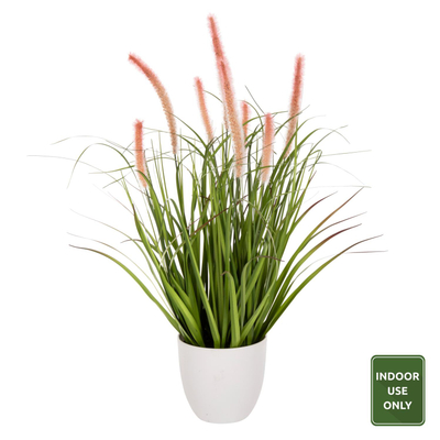 Bimë dekorative sintetike Bristlegrass Φ14,5 (HM4029)