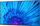Monitor NEC MultiSync M551 (60005055), 55", UHD 4K, i zi