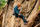 Bluzë pune Neo Polar Work Premium, fleece 300 g/m², me përforcime Cordura, madhësi XXXL