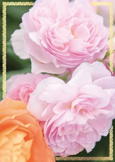 Kartolinë Kukartka Card B6 PP-2147, pa shkrim, me lule pastel