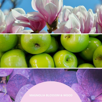 Difuzer aromatik Millefiori Magnolia Blossom & Wood, shkopinj, 100ml, rozë