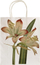 Çantë dhuratash Skona Ting A5 Amaryllis, letër ekologjike, dekorative, shumëngjyrëshe