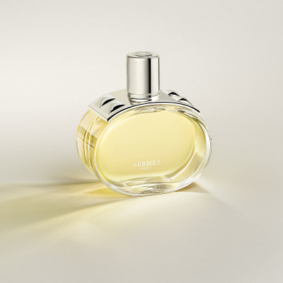 Parfum Hermes Barénia EDP, 100 ml, uniseks