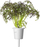 Fara bimore Click and Grow Red Frilly Mustard, pako me 3 copë, për Smart Garden, jeshile