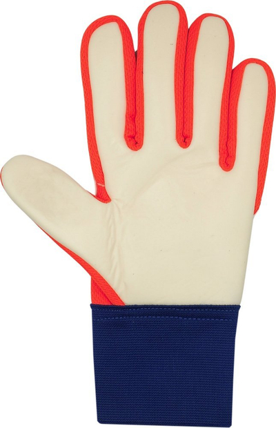 Doreza portieri Reusch Attrakt Starter Solid M 5570513, masa M, të bardha