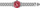 Orё dore Invicta Detroit Red Wings 42256
