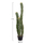 Bimë dekorative HomeMarkt Cactus, sintetike, 115cm, vazo e zezë