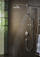 Dush fikse Hansgrohe Raindance Select S 240, krah 390mm, PowderRain, krom