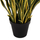 Bimë sintetike SANSEVIERIA NË VAZO (HM7994.01), gjelbër/ verdhë