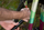 Pompe dore biçiklete Zefal Standard Hand Pump, 5.5 bar, alumin, e zezë