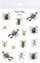 Sticker Mama Paints Arachnids, fletë 15x20 cm, shumëngjyrëshe