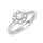 Unazë Brilio Silver426 001 00432 04 - clear - 2.30 g, 62 mm, woman