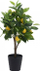 Pemë limoni artificiale dekorative, 70 cm, me vazo të zezë