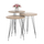 Set tavolina anësore 3-copë Nissa (HM18173.03), zezë