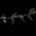 Girlandë dekorative Fééric Lights and Christmas, me gjethe bime, LED, 2.4m, e artë