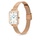 Orë dore për femra Daniel Wellington DW00100860